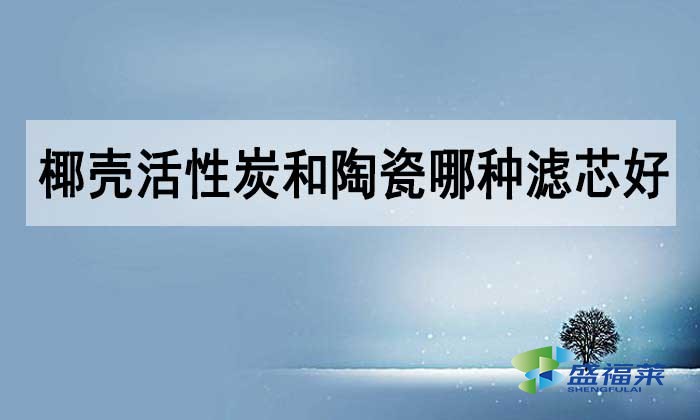 椰殼活性炭和陶瓷哪種濾芯好？如何選擇？